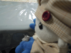 d0197949_22544173.gif