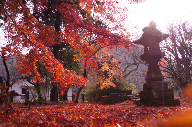 紅葉の城上神社_f0214649_915553.jpg