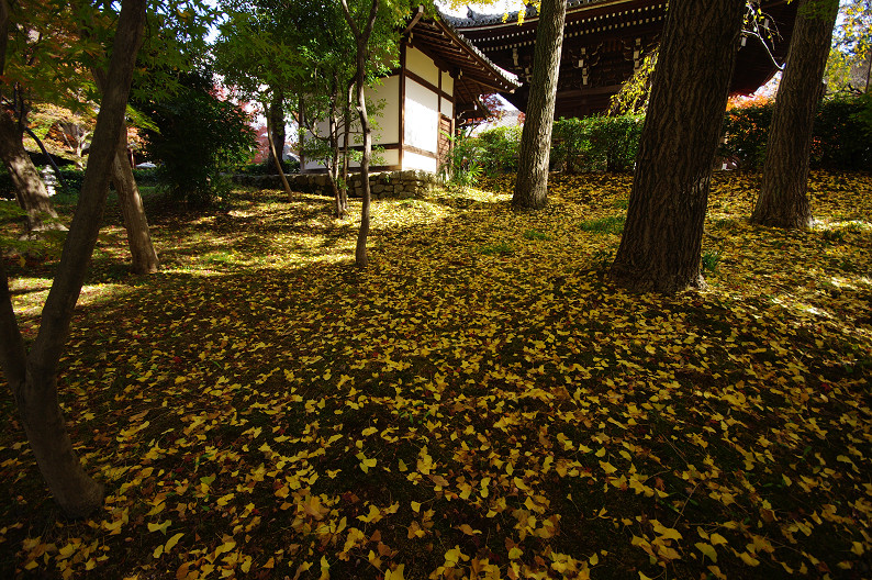 f0152550_17451623.jpg