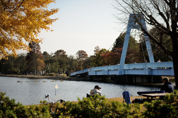 ちゃり散歩【水元公園】_f0020152_2249556.jpg