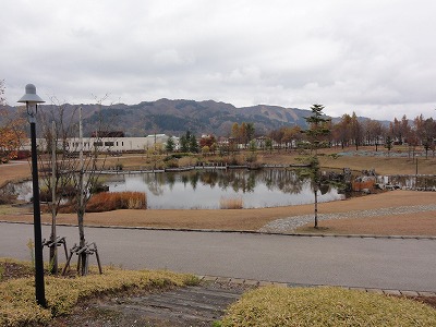 八色の森公園の雪降り前_a0084753_1317196.jpg