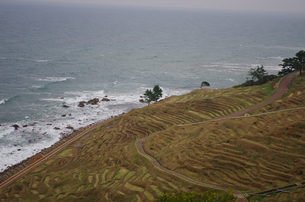c0214259_16362829.jpg