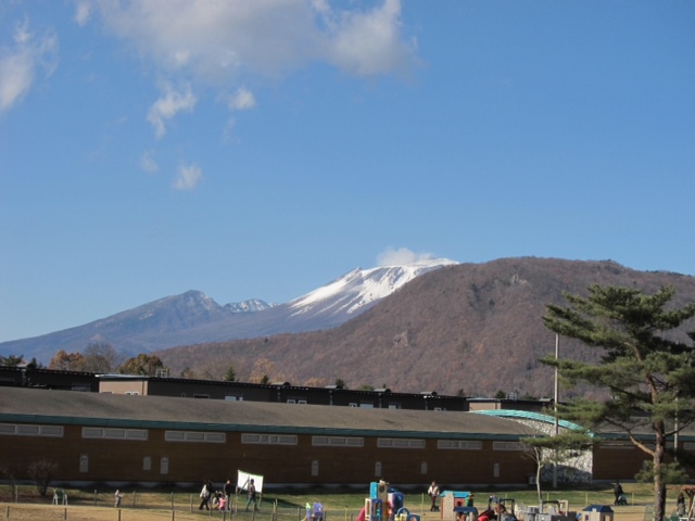 a0208560_17295386.jpg