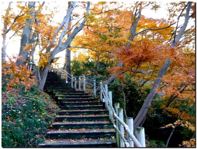 紅葉 金沢城公園_a0240761_1404744.jpg