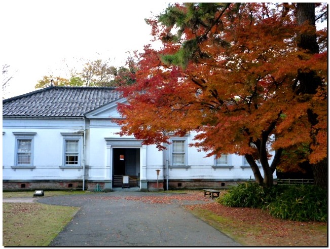 紅葉 金沢城公園_a0240761_141691.jpg