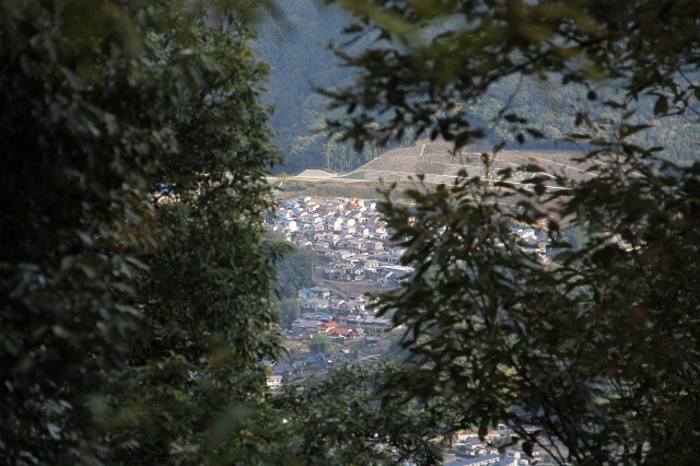 蓮華寺山登山　鹿子垣内林道ルート　その4　中心広場_b0095061_14311173.jpg