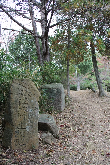 蓮華寺山登山　鹿子垣内林道ルート　その4　中心広場_b0095061_14361737.jpg