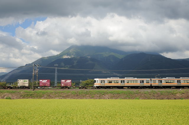 伊吹せんろみちをたどって_c0081462_14244238.jpg