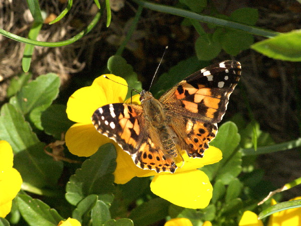 f0208666_19181412.jpg