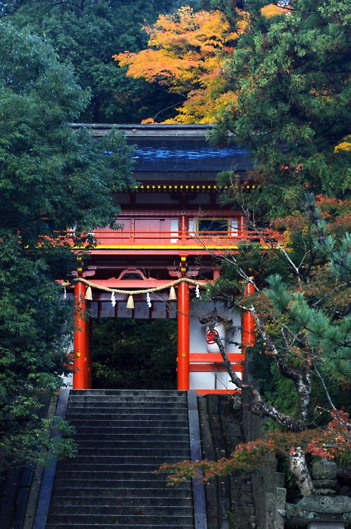 奥丹波紅葉ツアー--金刀比羅神社--　20121114_a0050572_22205850.jpg