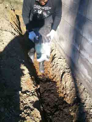 2012年11月10日(土) 広域避難者支援サロンハーモニー_d0259876_1422339.jpg