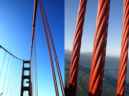 サンフランシスコ散策と、ゴールデンゲートブリッジツアーを体験_b0053082_17443550.jpg