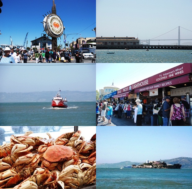 サンフランシスコ散策と、ゴールデンゲートブリッジツアーを体験_b0053082_7102583.jpg