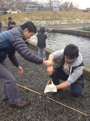 滋賀のええとこ。〜お魚パラダイス！南郷水産〜_e0087682_1943271.jpg