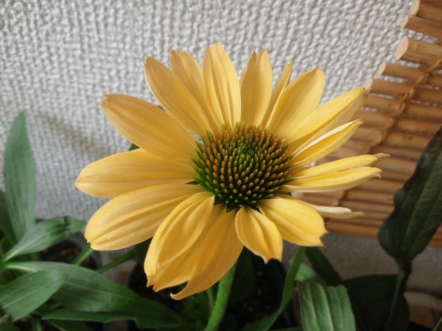 c0197684_1923056.jpg