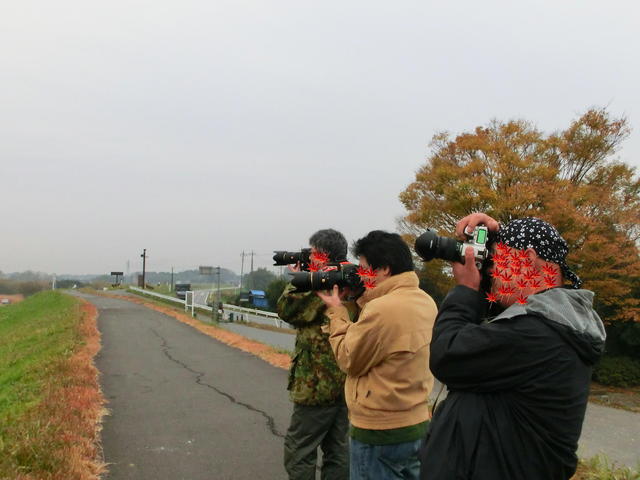 埼玉県、群馬県を行き来して・・・_b0203588_8331514.jpg