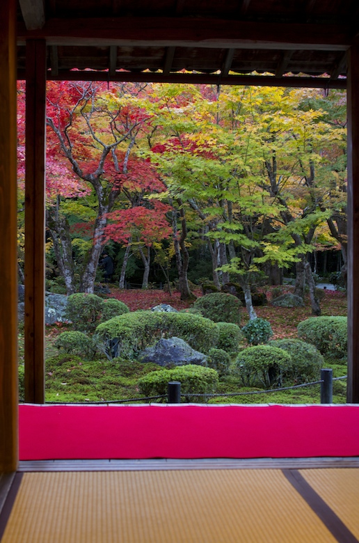 紅葉 2012 京都 18　圓光寺（ Enko-ji ）2012　autumn color in Kyoto _b0188590_35426.jpg