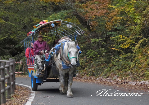 甲州への旅　１１　　　　　　_d0252896_16472960.jpg