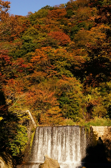 箱根の紅葉_b0145398_2335963.jpg