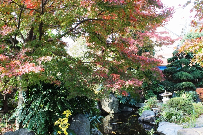 d0069498_1059187.jpg