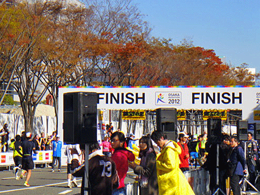 b0108100_23414190.gif