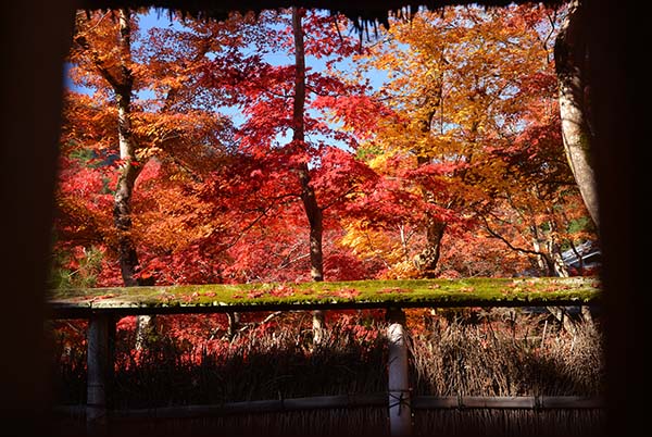 秋の京都・・嵐山付近_a0044202_21221463.jpg