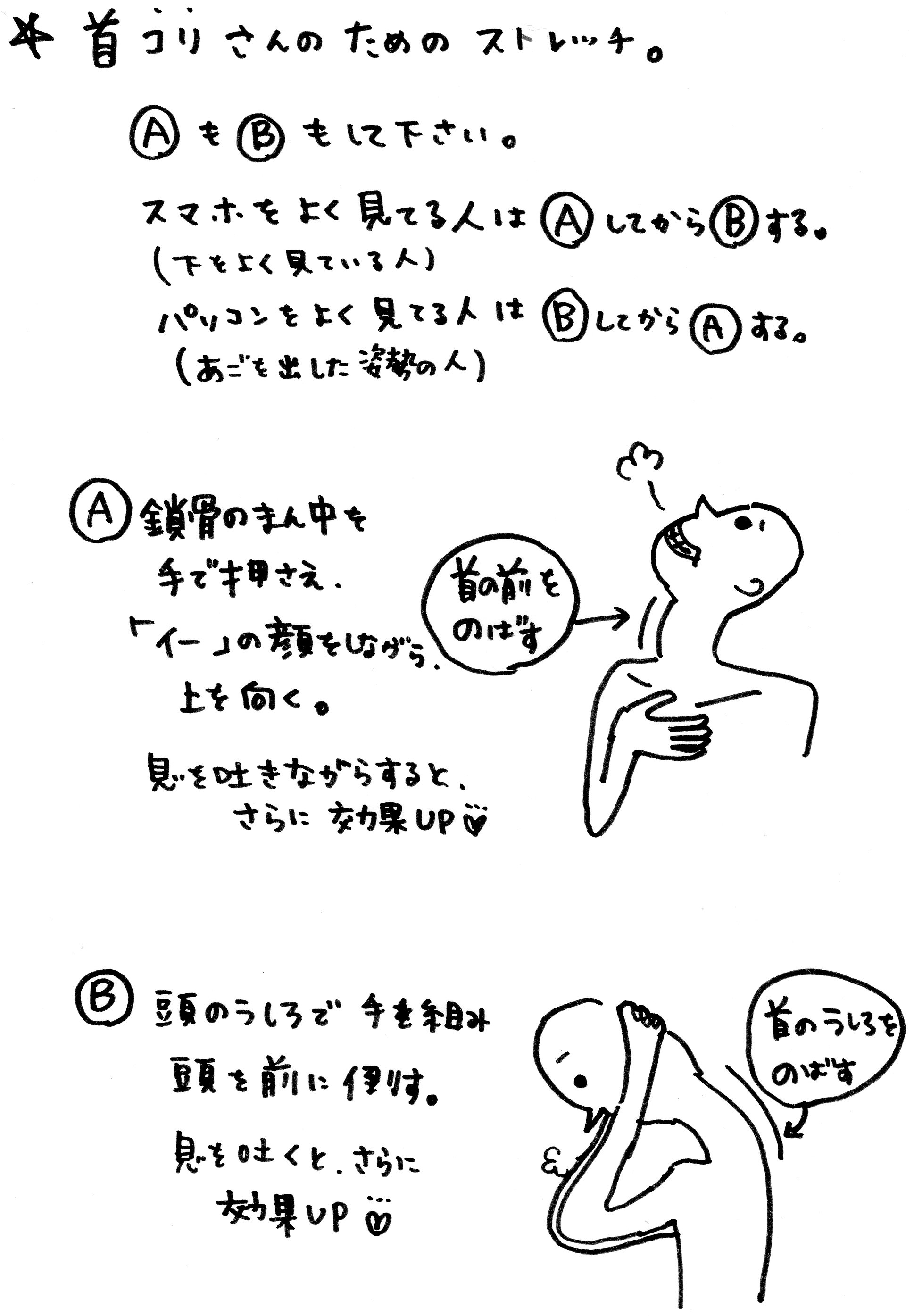 首こりのためのストレッチ いい姿勢は美と健康の第一歩 鍼灸でいい姿勢になろう 女性鍼灸師のブログ 首こりのためのストレッチ いい姿勢は美と健康の第一歩 鍼灸でいい姿勢になろう 女性鍼灸師のブログ