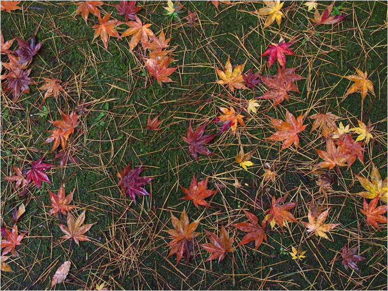 e0031502_2110364.jpg