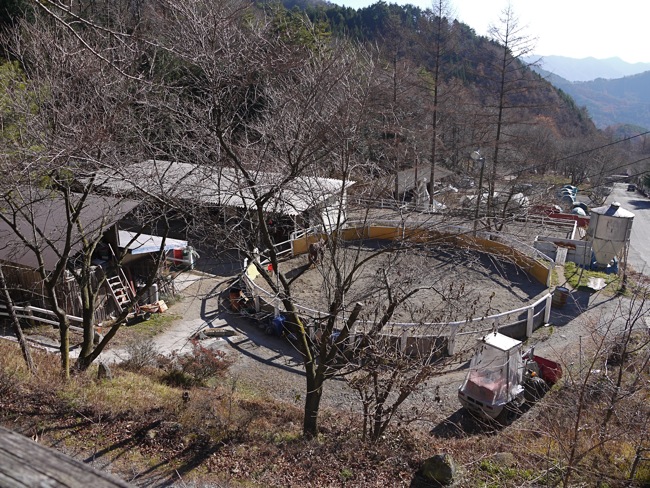 e0163202_1923645.jpg