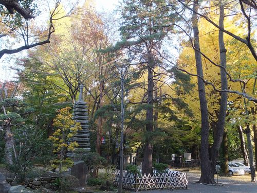 江戸名所図会にも載っていた名刹、狛江「泉龍禅寺」_f0120102_11235715.jpg