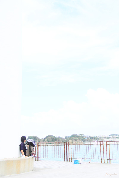 巻き戻した夏 Photo Garden