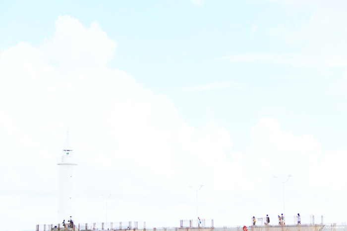 巻き戻した夏 Photo Garden