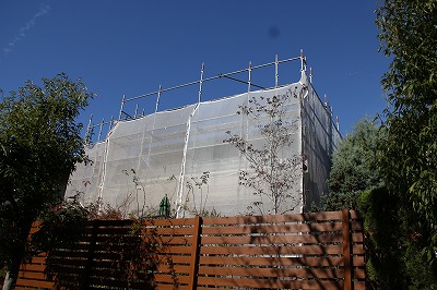 a0123003_21501963.jpg