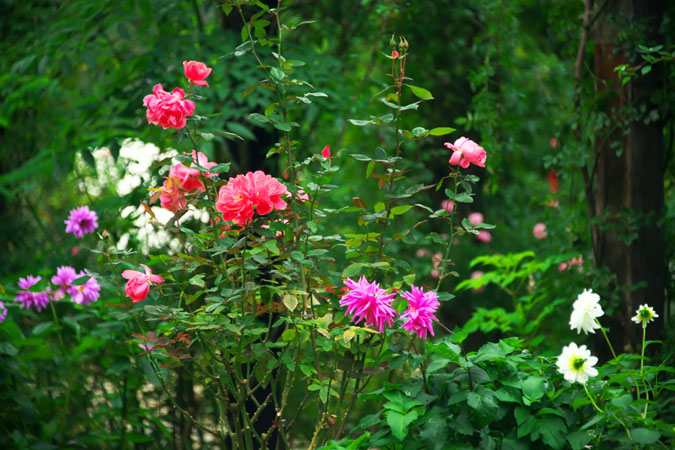 a0263109_1429988.jpg