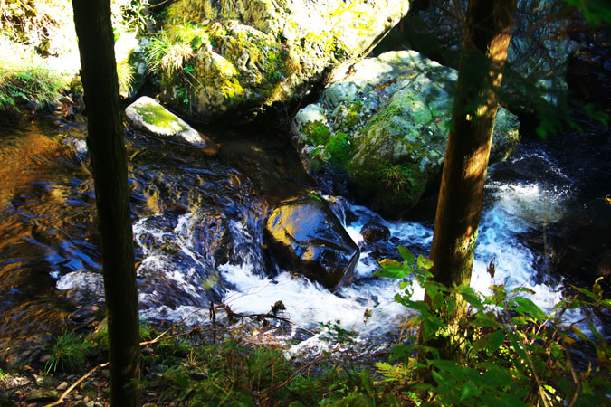 a0263109_19483239.jpg
