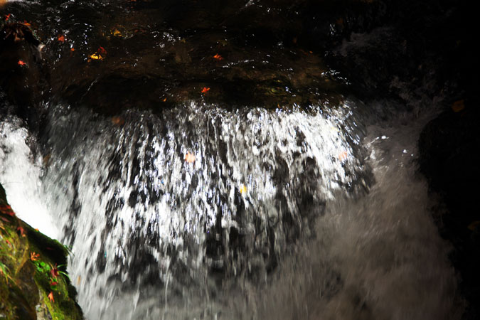 a0263109_19515469.jpg