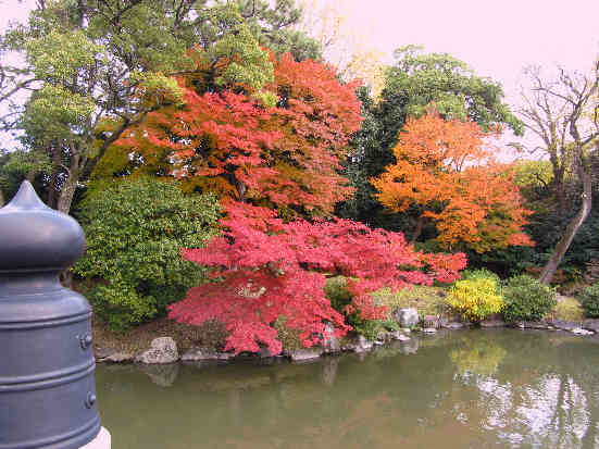 京都の旅　京都御苑編_d0154609_16381637.jpg