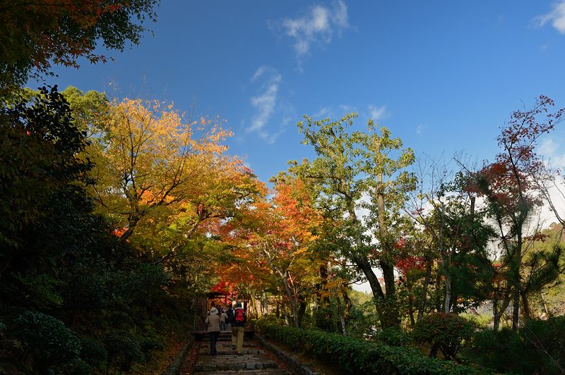 2012京都の紅葉・化野念仏寺_f0032011_16445817.jpg