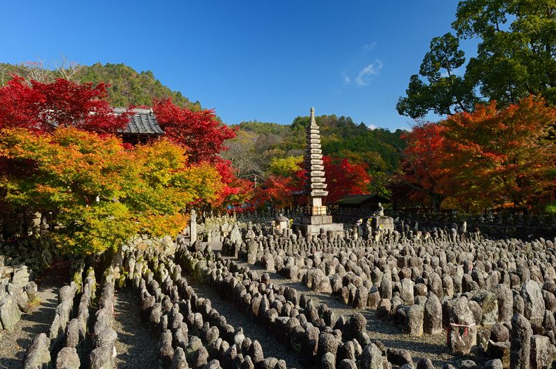 2012京都の紅葉・化野念仏寺_f0032011_16453496.jpg