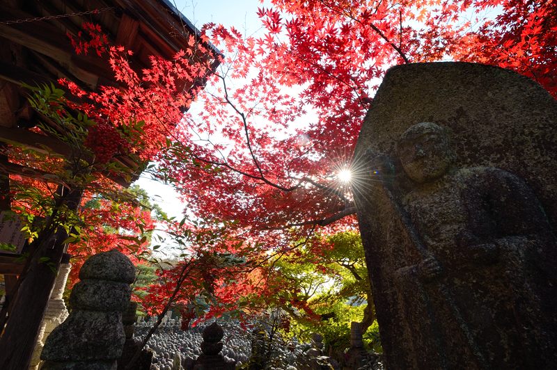 2012京都の紅葉・化野念仏寺_f0032011_16465466.jpg