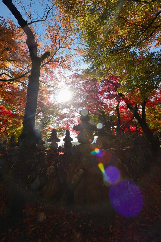 2012京都の紅葉・化野念仏寺_f0032011_16471928.jpg