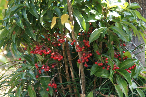 a0029812_11252493.jpg