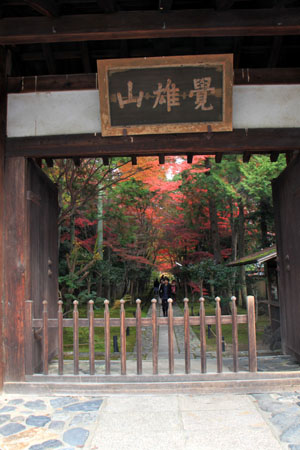 紅葉だより52 鹿王院_e0048413_22435070.jpg
