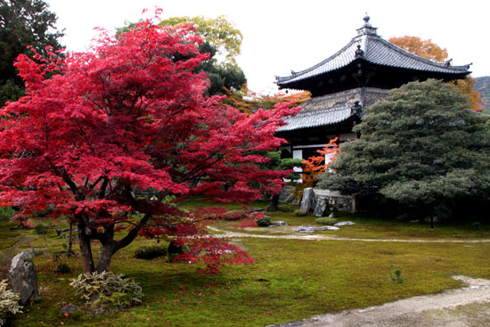 紅葉だより52 鹿王院_e0048413_2245621.jpg