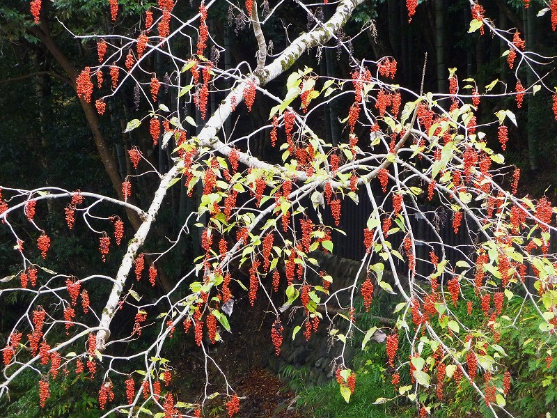 f0182513_23202819.jpg