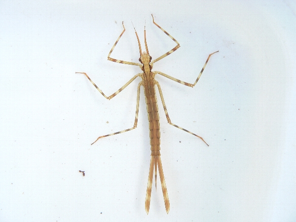 e0002314_2020306.jpg