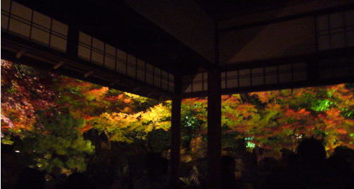 e0099614_023105.jpg