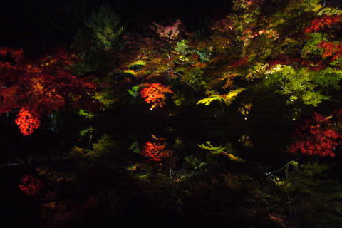 e0099614_0355664.jpg