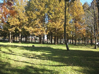 c0131616_1721539.jpg
