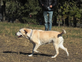c0131616_1722411.jpg
